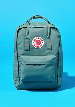 FJÄLLRAVEN