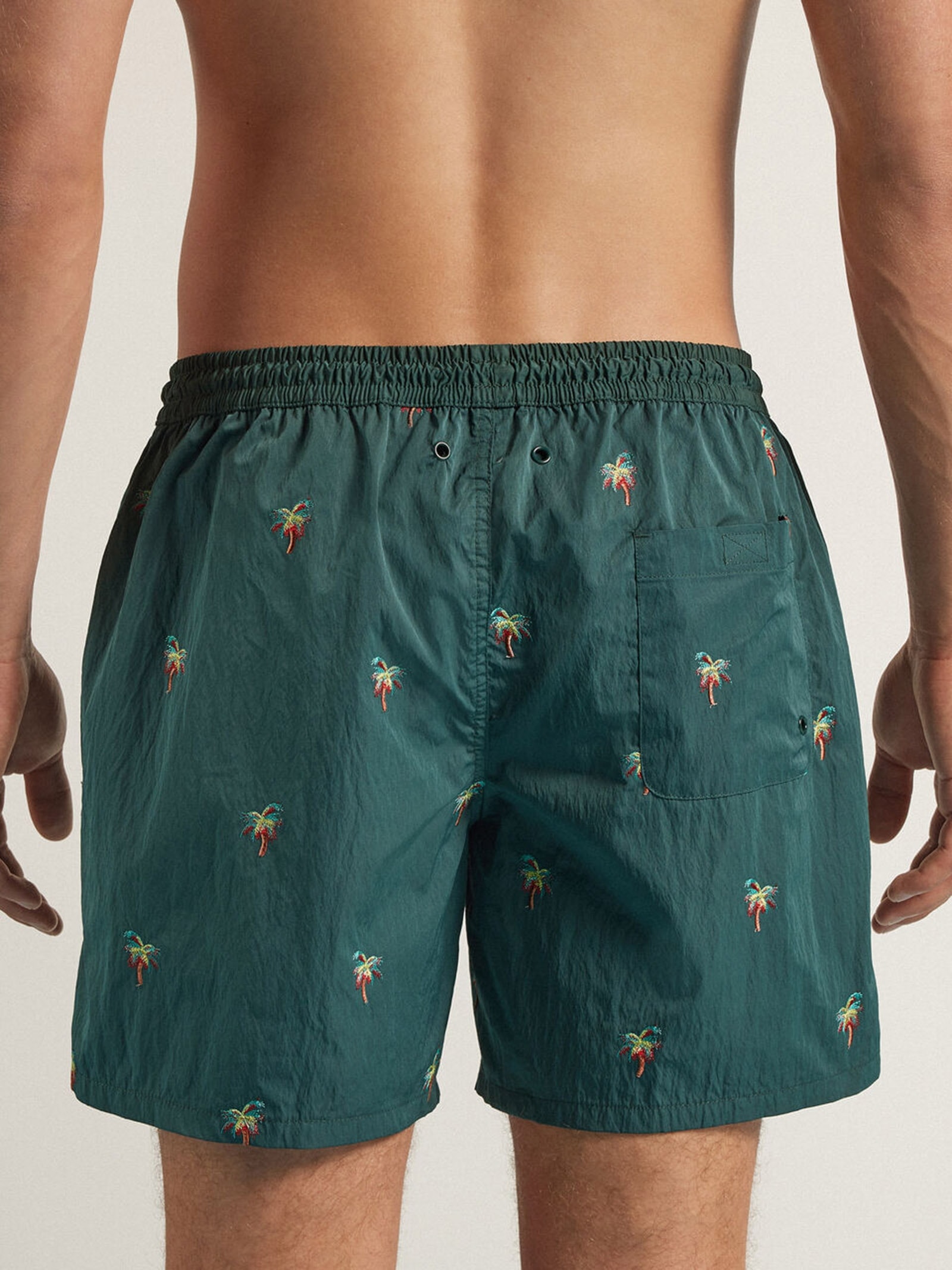 Bermuda De Banho Com Bordado De Palmeiras Verde Intimissimi