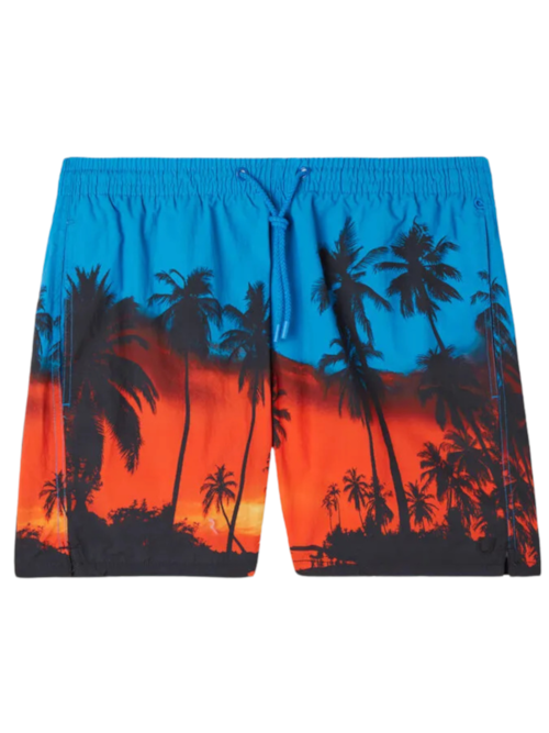 Bermuda De Banho Com Estampa De Palmeiras – Azul