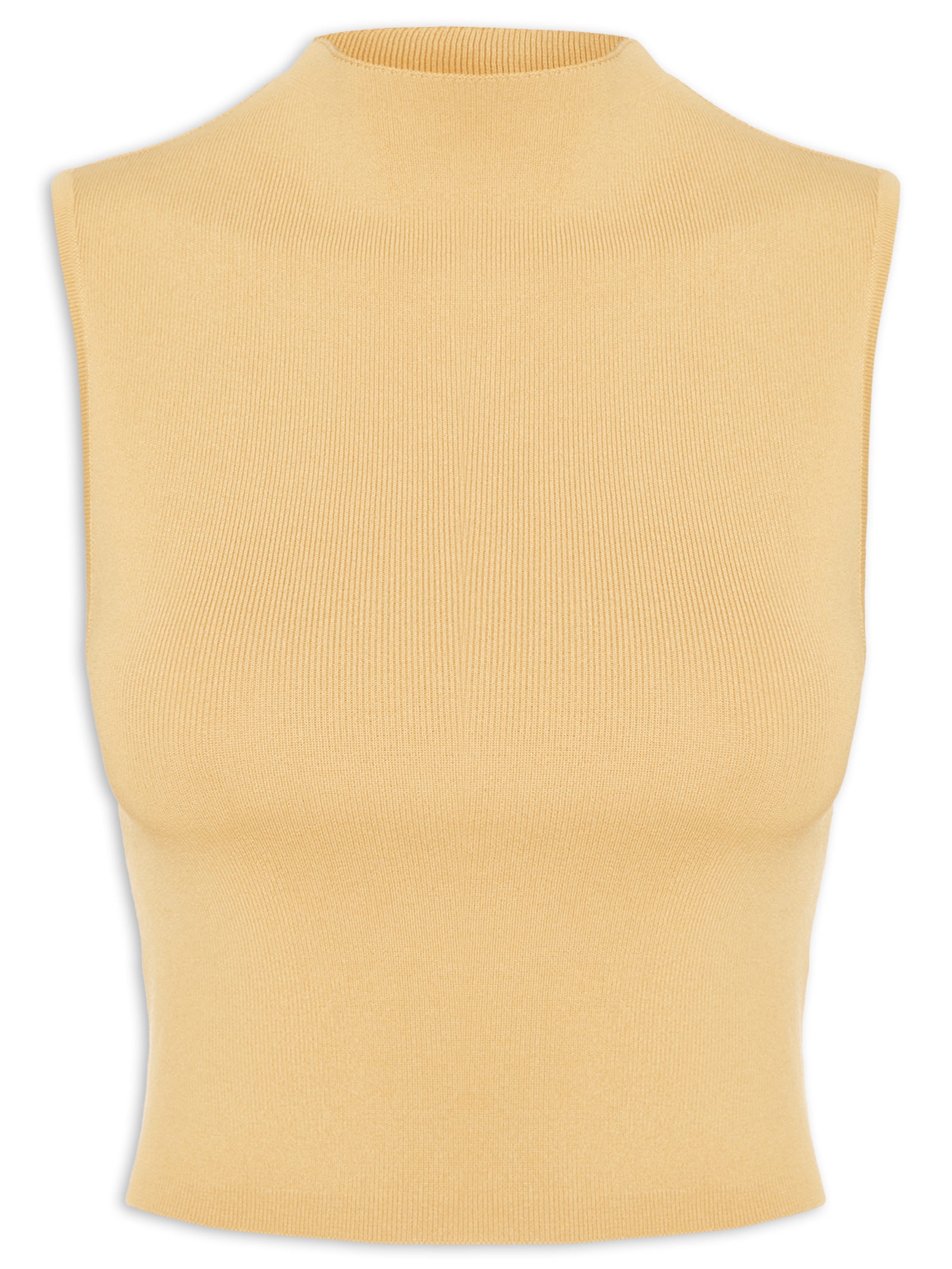 Blusa Feminina Básica De Tricot Cropped Gola Alta Bege Animale