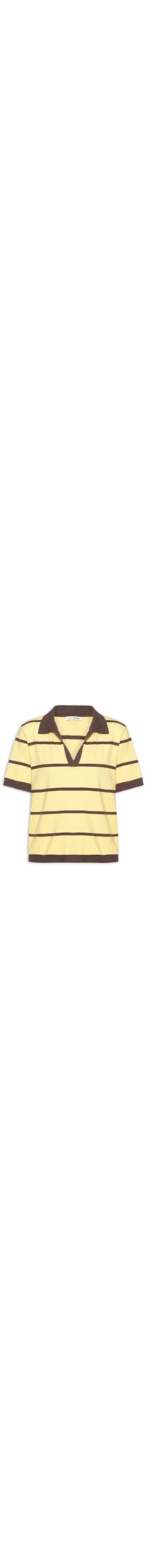 Blusa Feminina De Tricot Gola Polo - Marrom