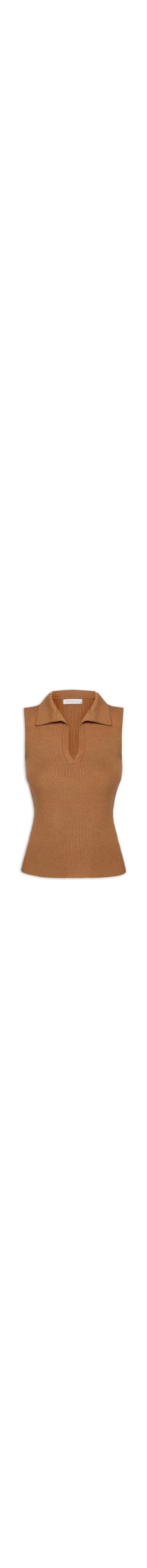 Blusa Feminina Em Tricot Com Gola Polo - Marrom