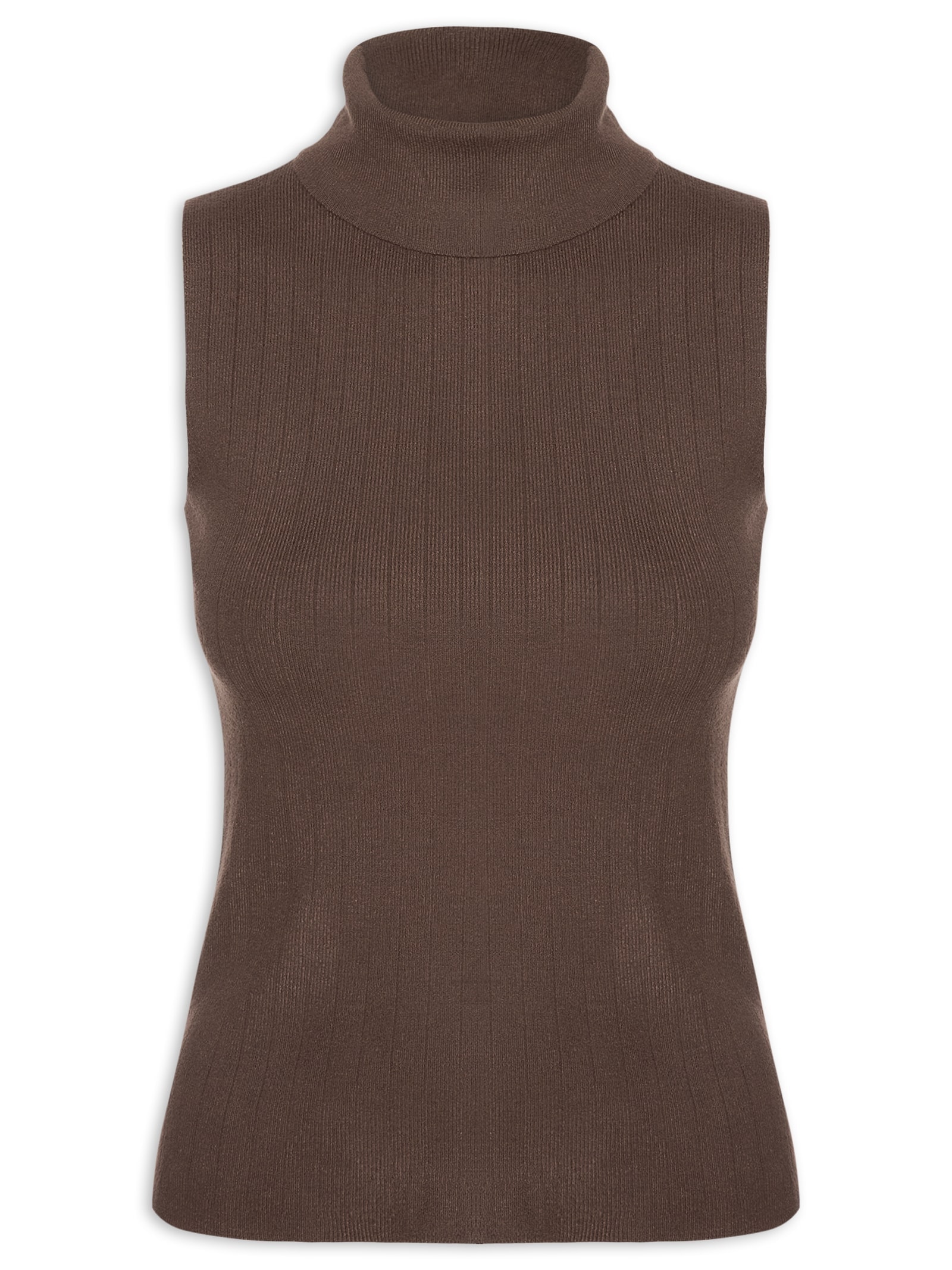 Blusa Feminina Gola Alta Em Tricot Marrom  '2Essential