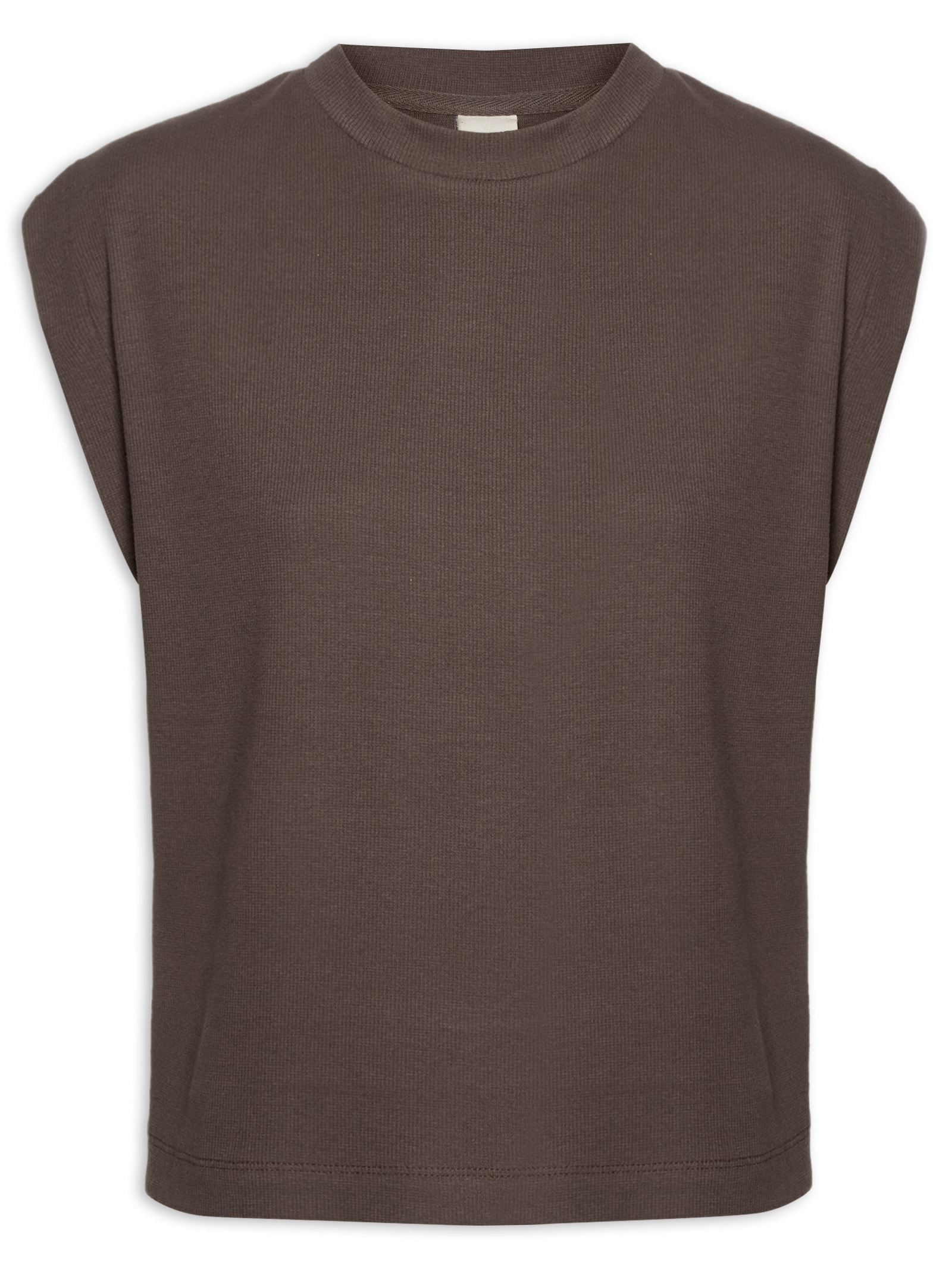 Blusa Feminina Sem Manga Marrom Hering