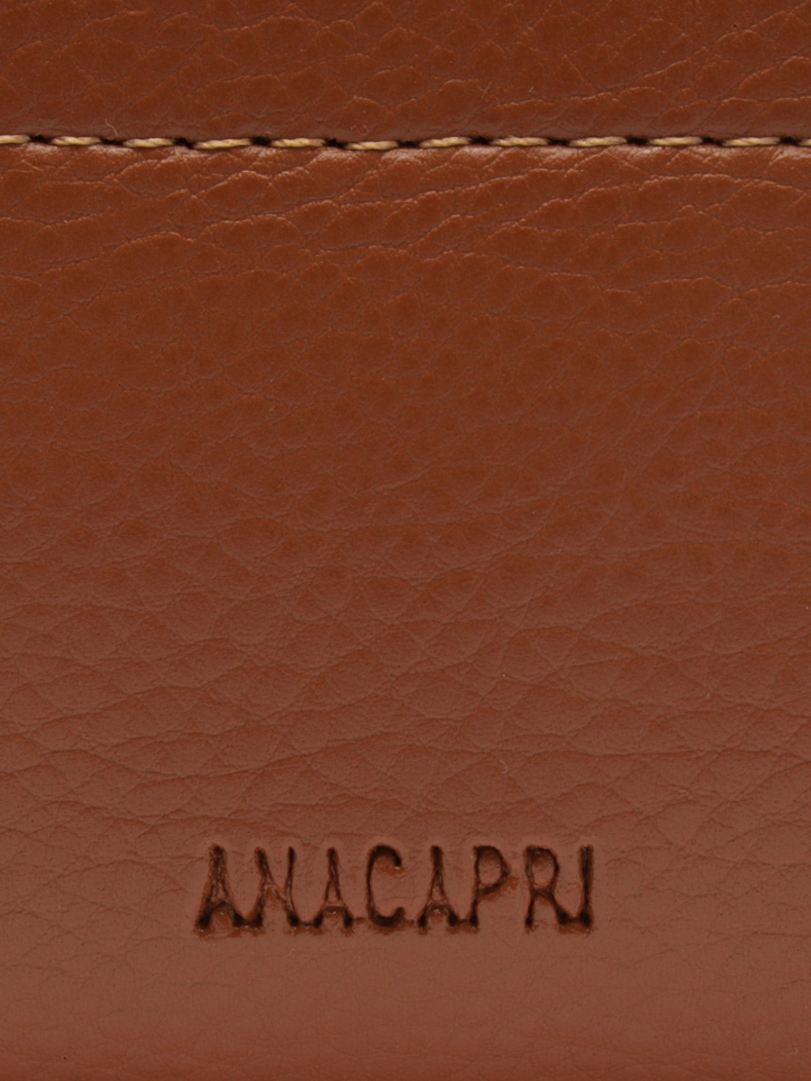 Bolsa Feminina Hobo Grande Fechamento Metal Marrom Anacapri