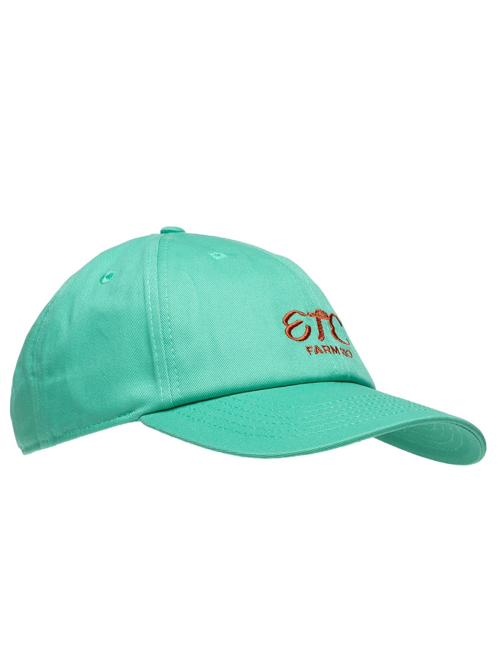 Boné Etc Feminino Azul Farm Etc