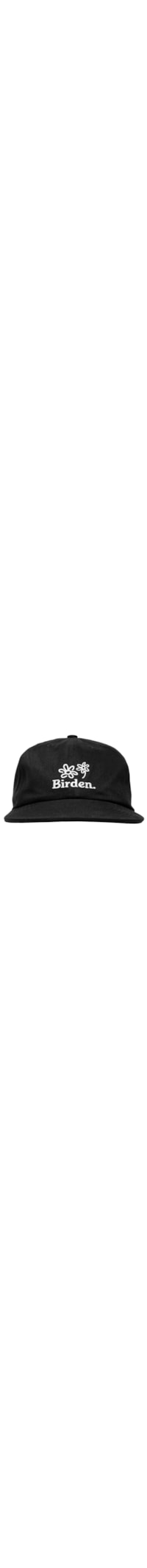 Boné Masculino 6 Panel Garden - Preto
