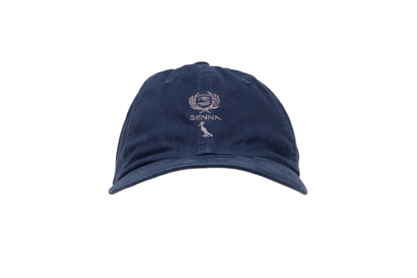 Boné Masculino Dad Hat Bordado Senna - Azul