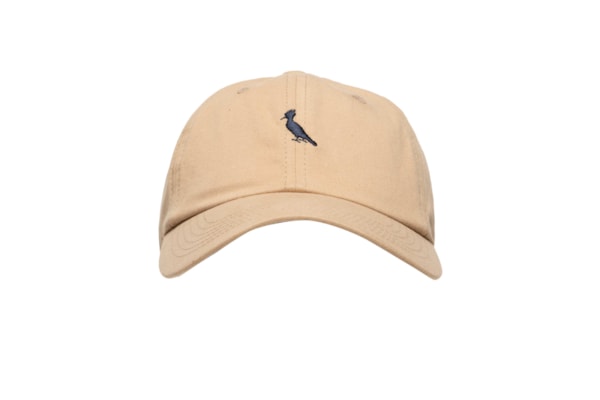 Boné Masculino De Sarja Bordado Pica Pau - Bege