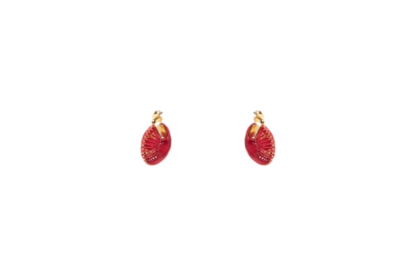 Brinco Feminino Argolinha Encanto - Vermelho
