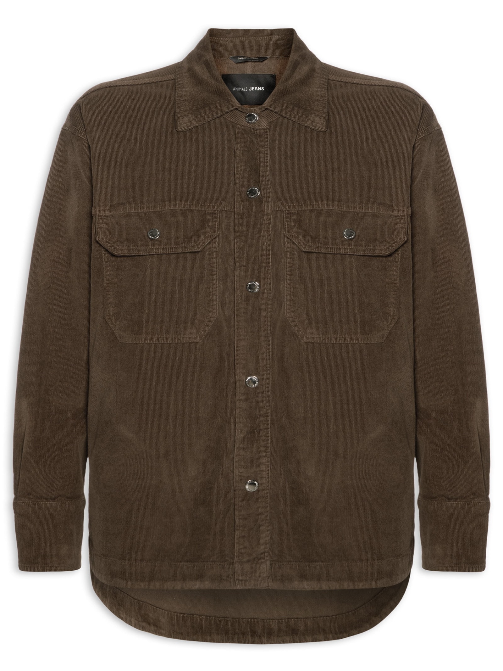 Camisa Feminina Sarja Basic Veludo Marrom Animale Jeans