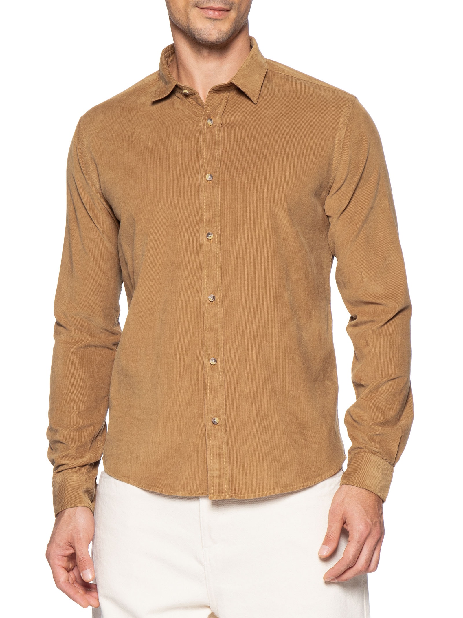 Camisa Masculina Leve Em Veludo Bege Pineapple