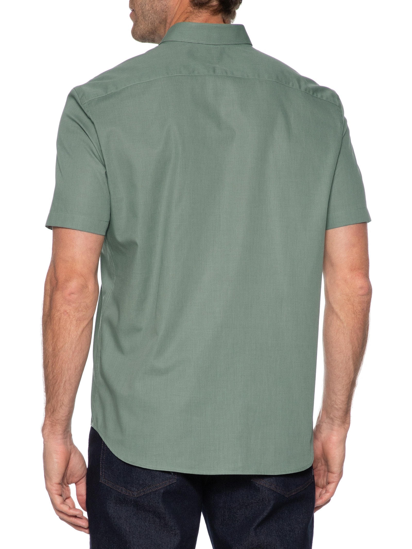 Camisa Masculina Regular Fit Mini Xadrez Verde Aramis