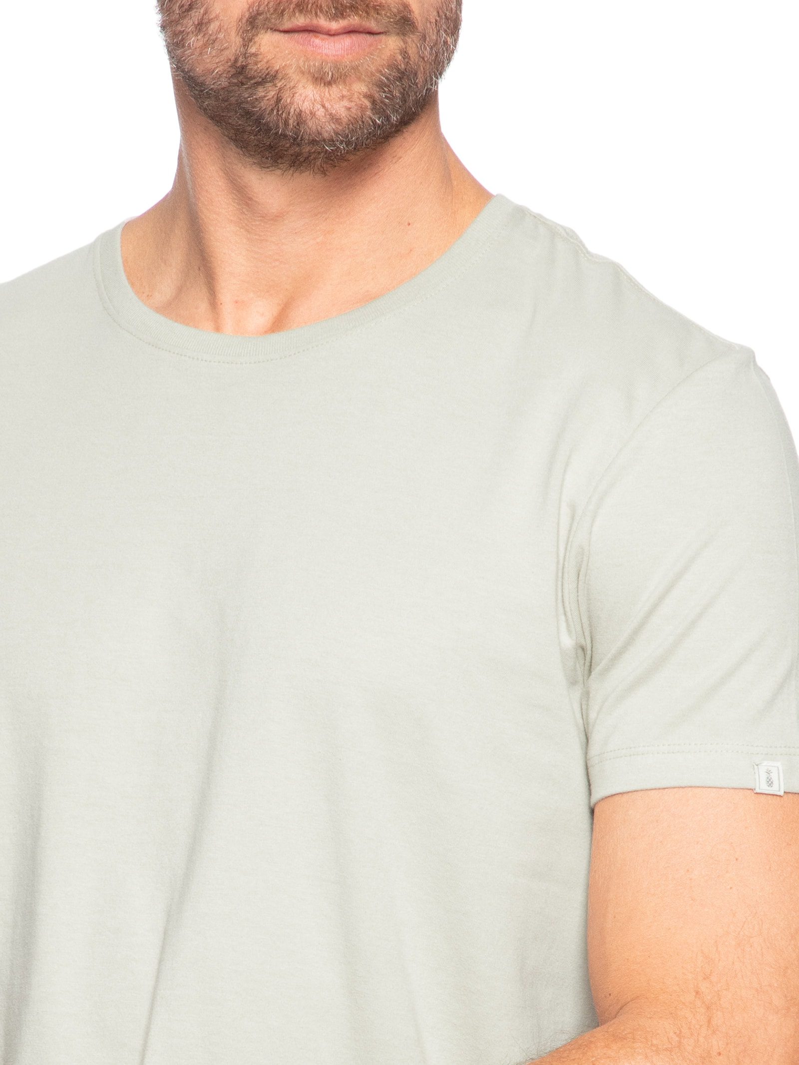 Camiseta Básica Masculina Em Algodão Cinza Pineapple