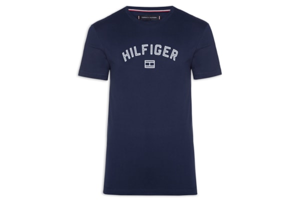 Camiseta Básica Masculina Regular Fit Flock Logo Em Algodão - Azul 