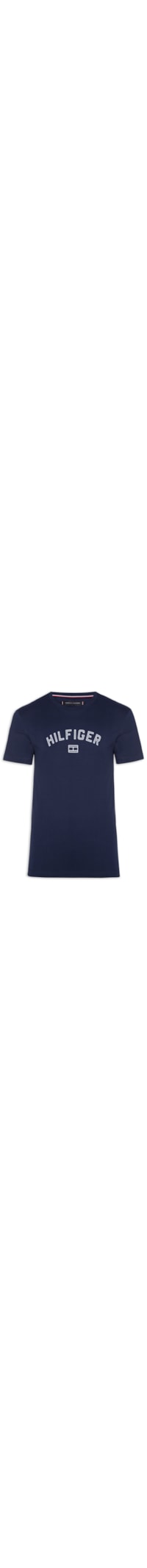 Camiseta Básica Masculina Regular Fit Flock Logo Em Algodão - Azul