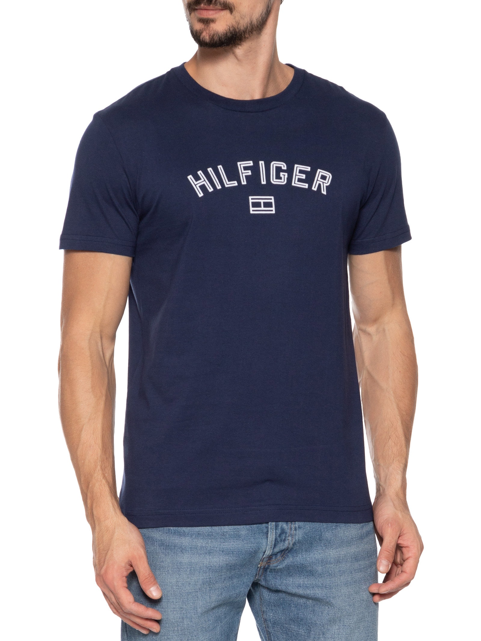 Camiseta Básica Masculina Regular Fit Flock Logo Em Algodão Azul  Tommy Hilfiger