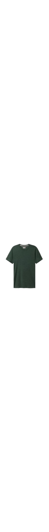 Camiseta De Manga Curta Em Lã Merino Elástica - Verde