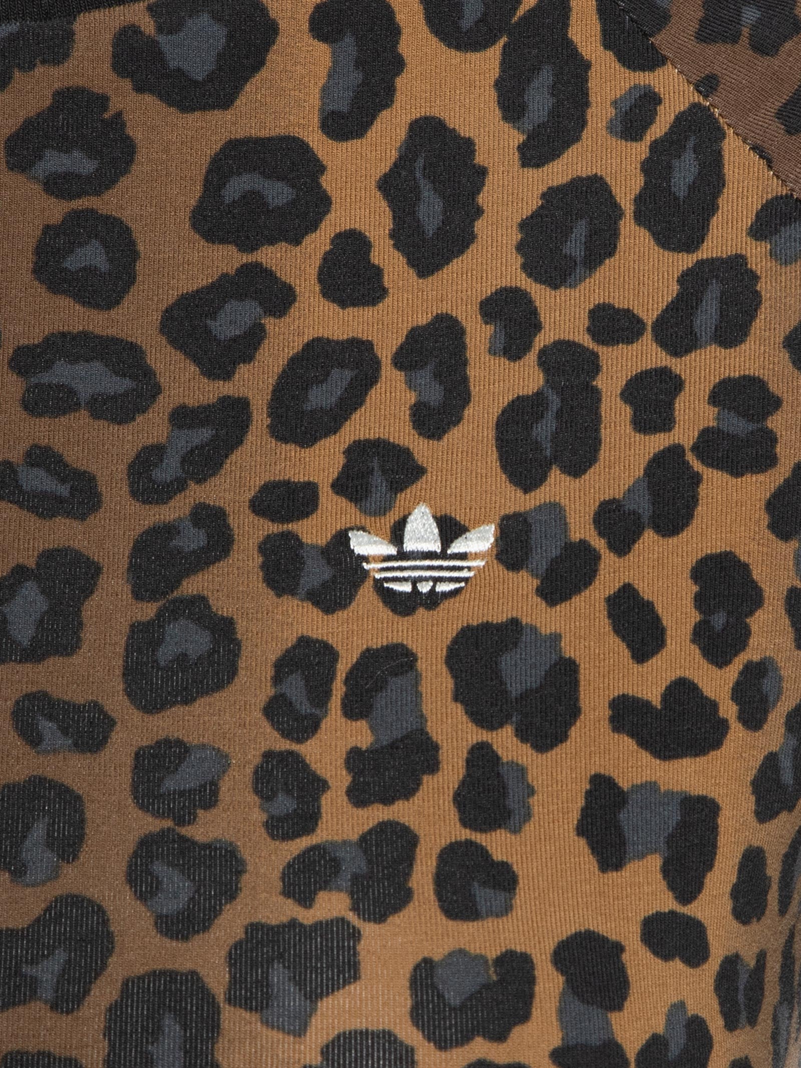 image_4e193744-c4d8-40e1-897a-fdcf12ef8209