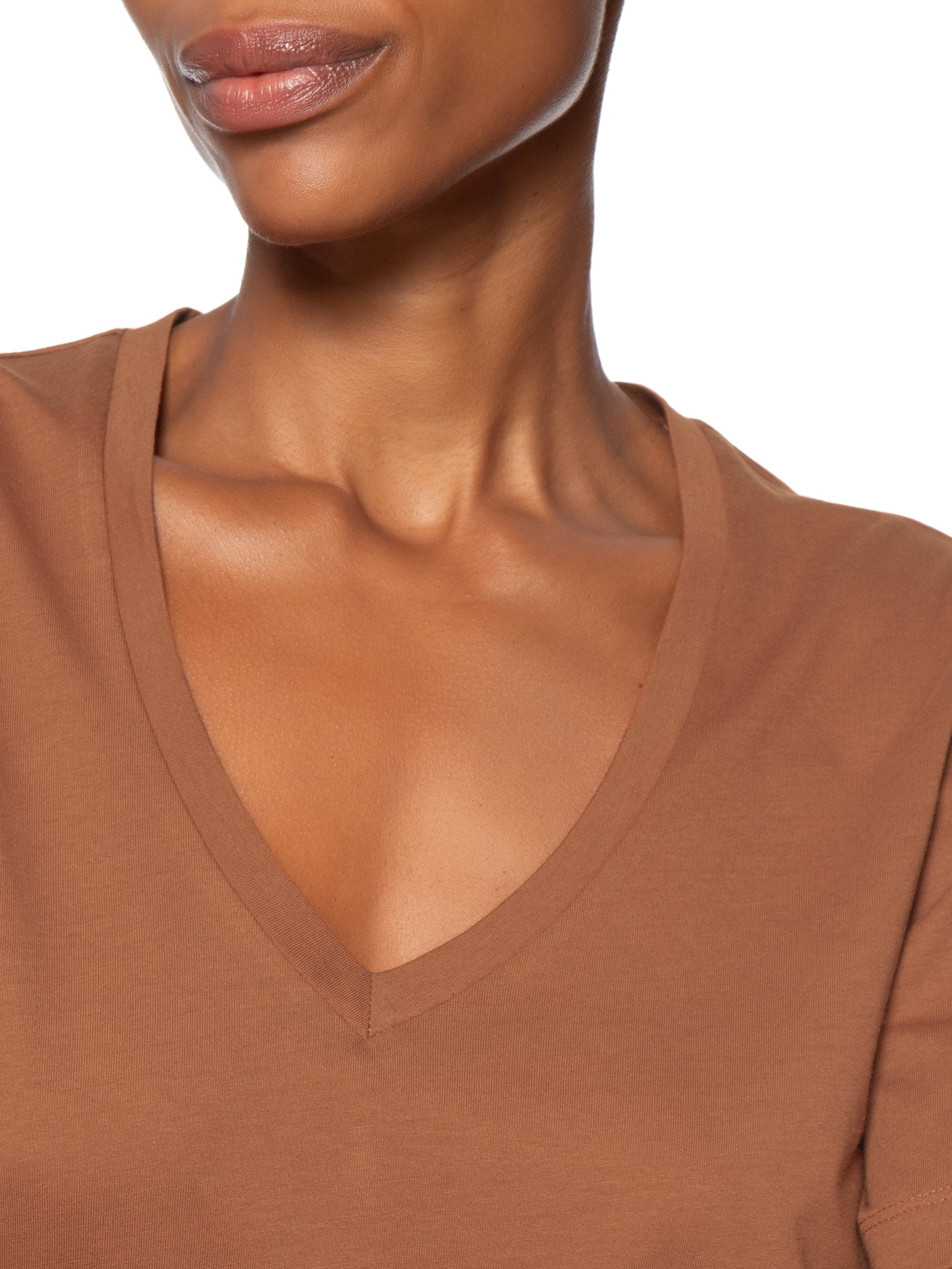Camiseta Feminina Decote V Pima Marrom Animale