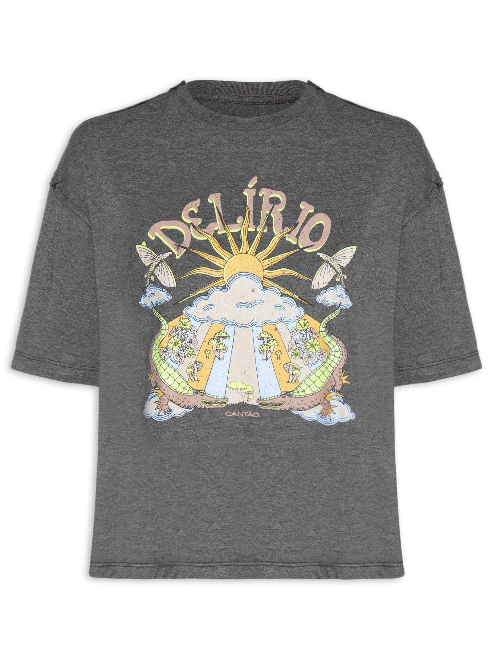 Camiseta Feminina Maxi Alucinação Cinza Cantão