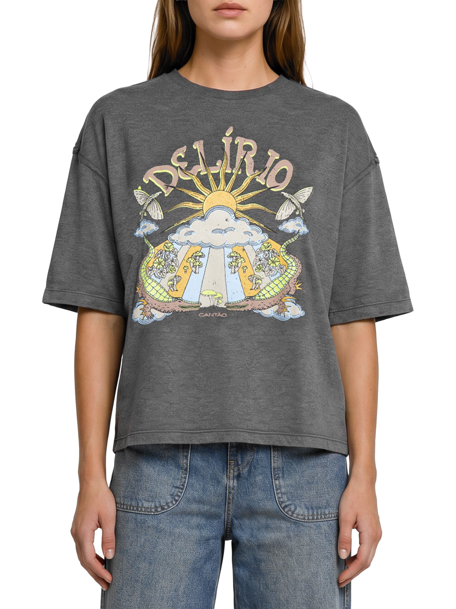 Camiseta Feminina Maxi Alucinação Cinza Cantão