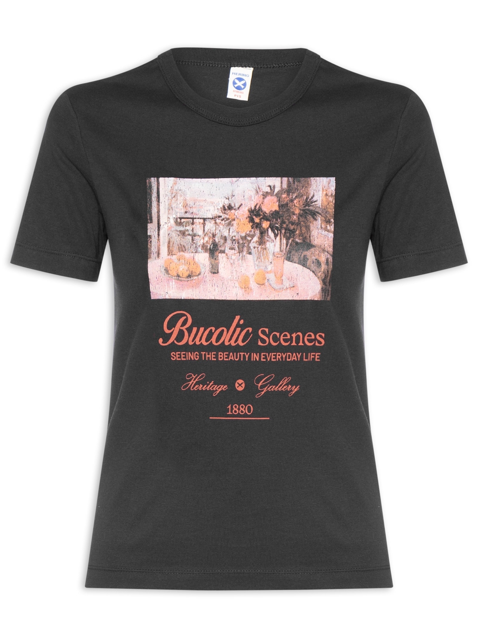 Camiseta Feminina Preto Hering