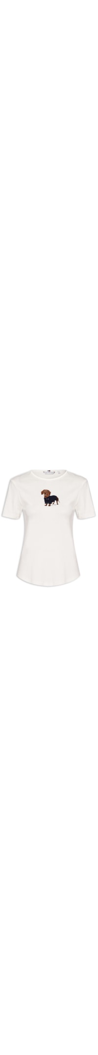 Camiseta Feminina Rib Dog Ringer Tee - Branco