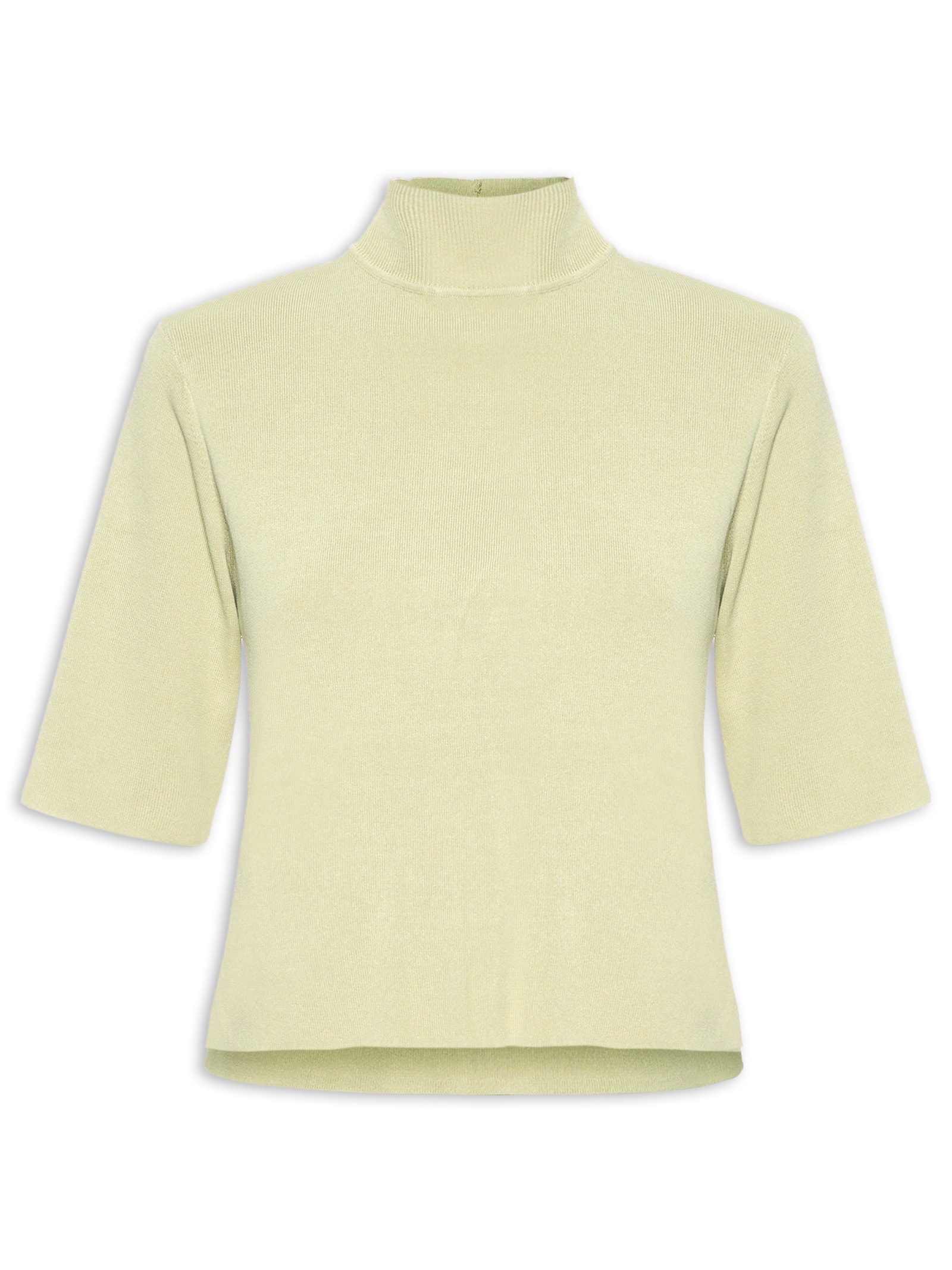 Camiseta Feminina Tricot Gola Alta Verde Animale
