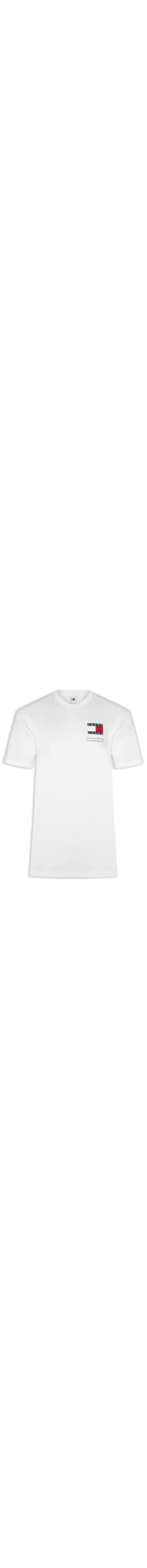 Camiseta Masculina AB Regular Essential Flag Tee Ext - Branco
