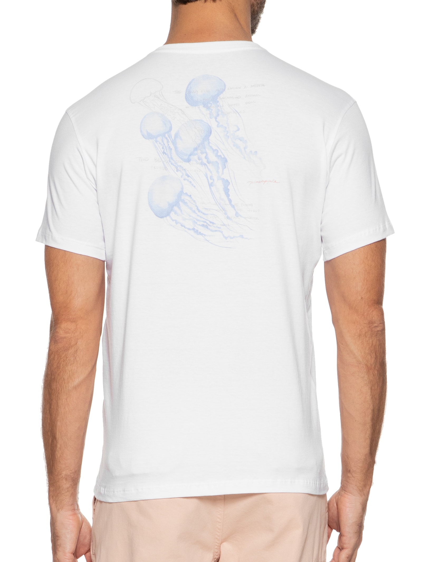 Camiseta Masculina Água Viva Branco Pineapple