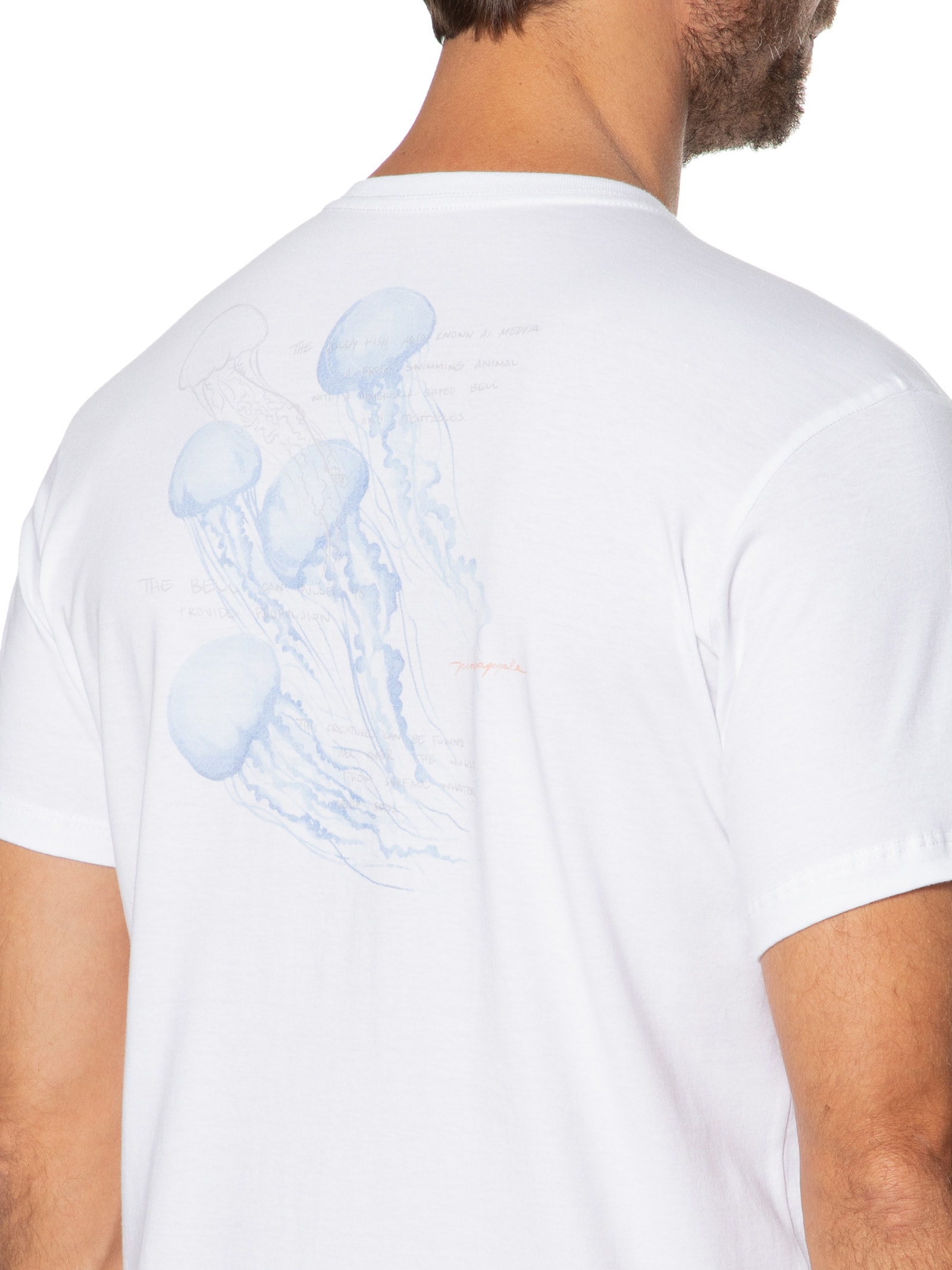 Camiseta Masculina Água Viva Branco Pineapple