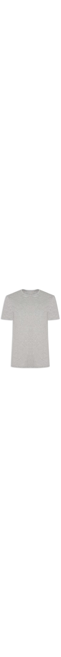Camiseta Masculina Am Sport Pima - Cinza