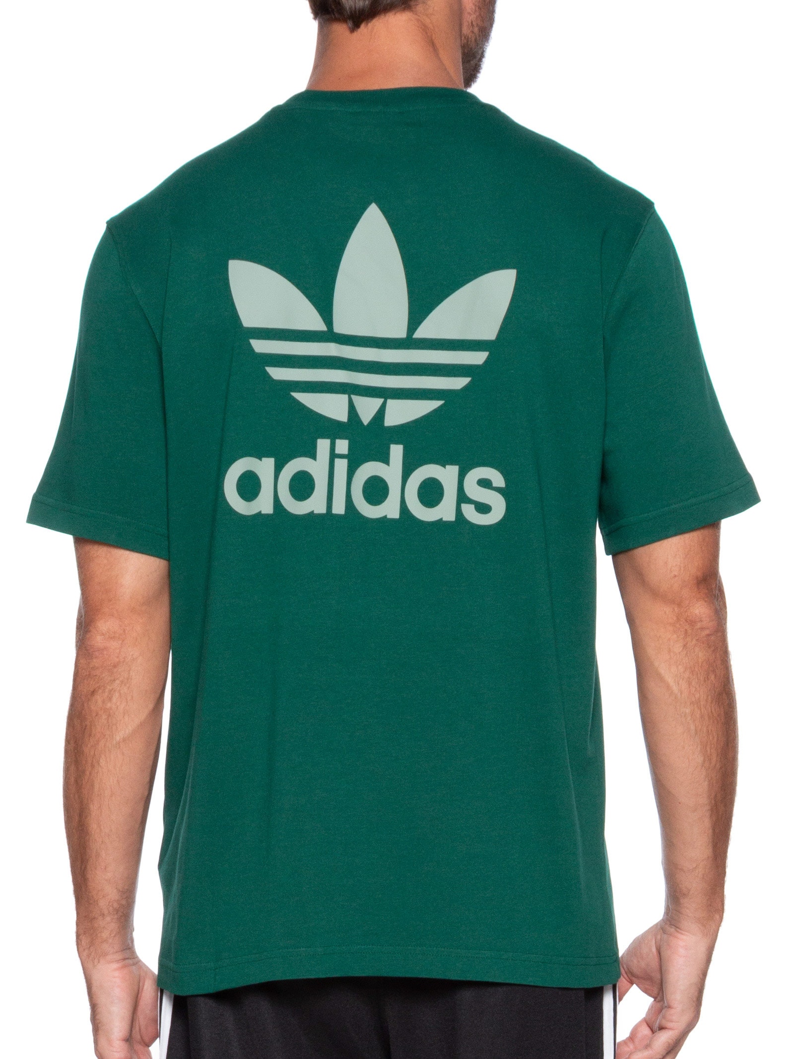 Camiseta Masculina B F Trefoil Verde Adidas Originals