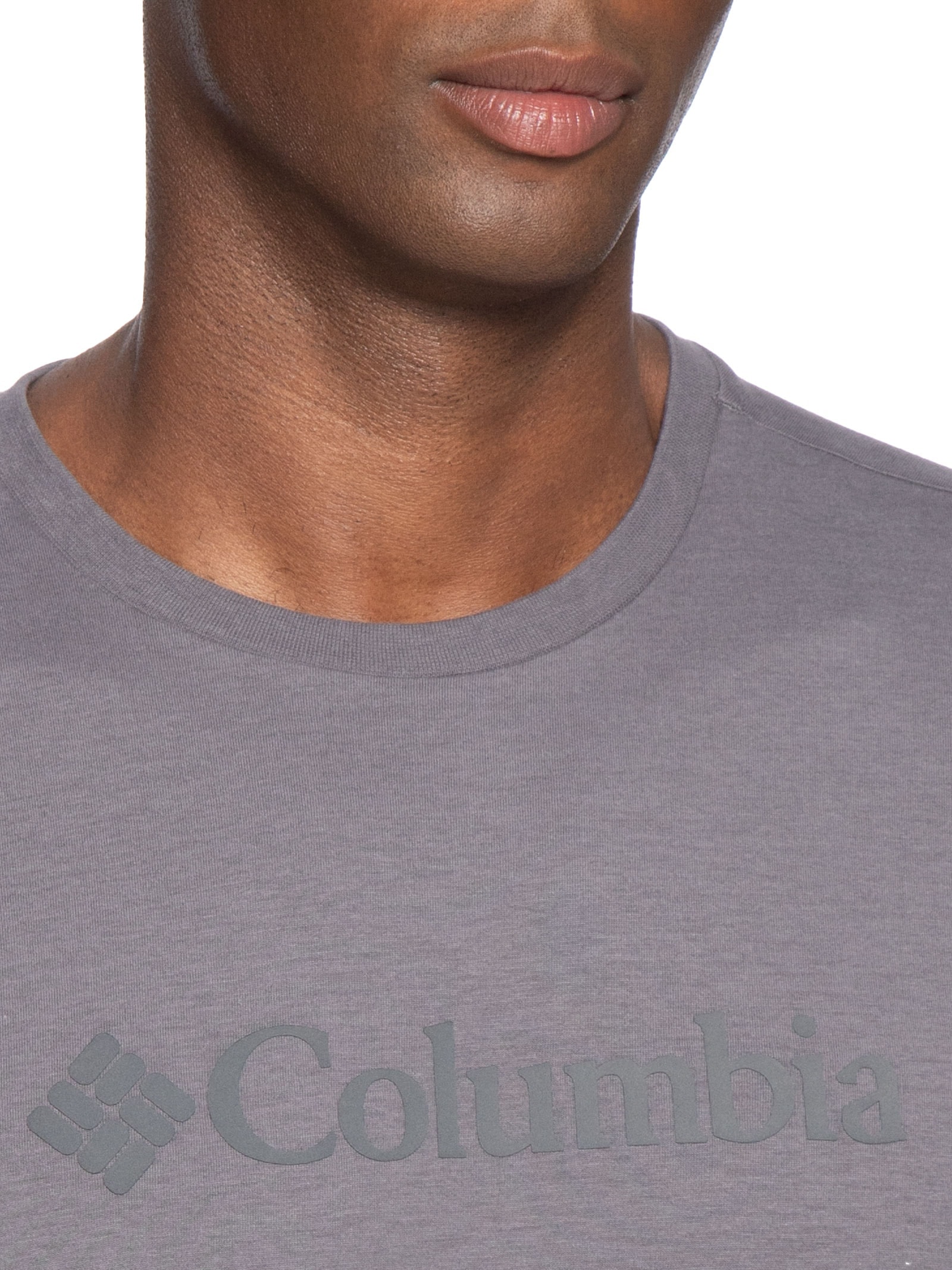 Camiseta Masculina Basic Logo II Branded Shadow Cinza Columbia