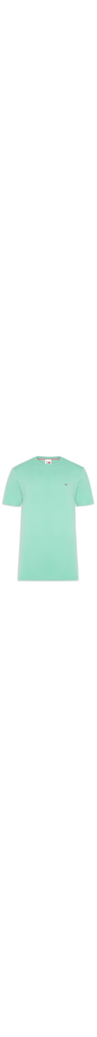 Camiseta Masculina Básica Bandeira Alongada Regular Fit Em Algodão - Verde
