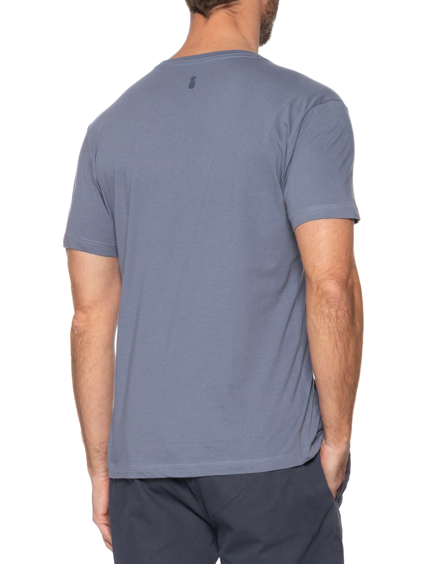 Camiseta Masculina Básica em Algodão Azul Pineapple