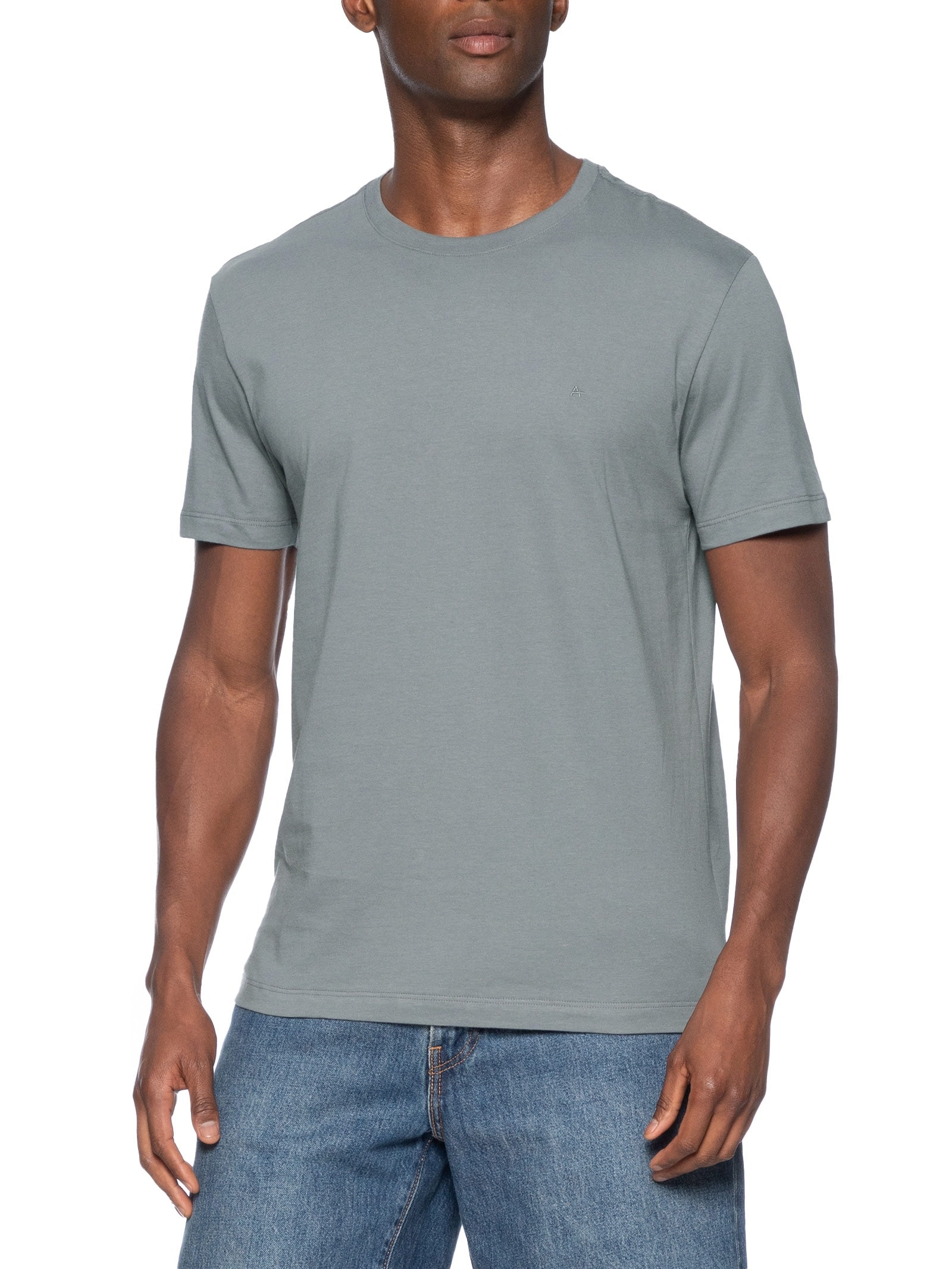 Camiseta Masculina Básica Gola Careca Cinza Aramis
