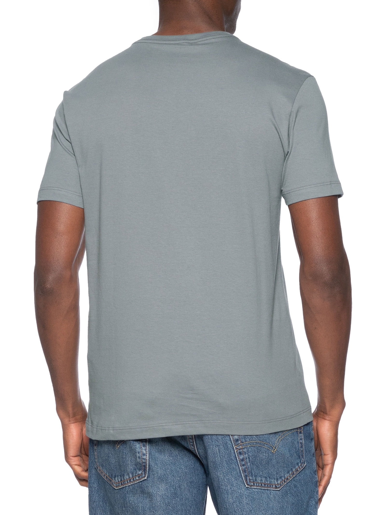 Camiseta Masculina Básica Gola Careca Cinza Aramis