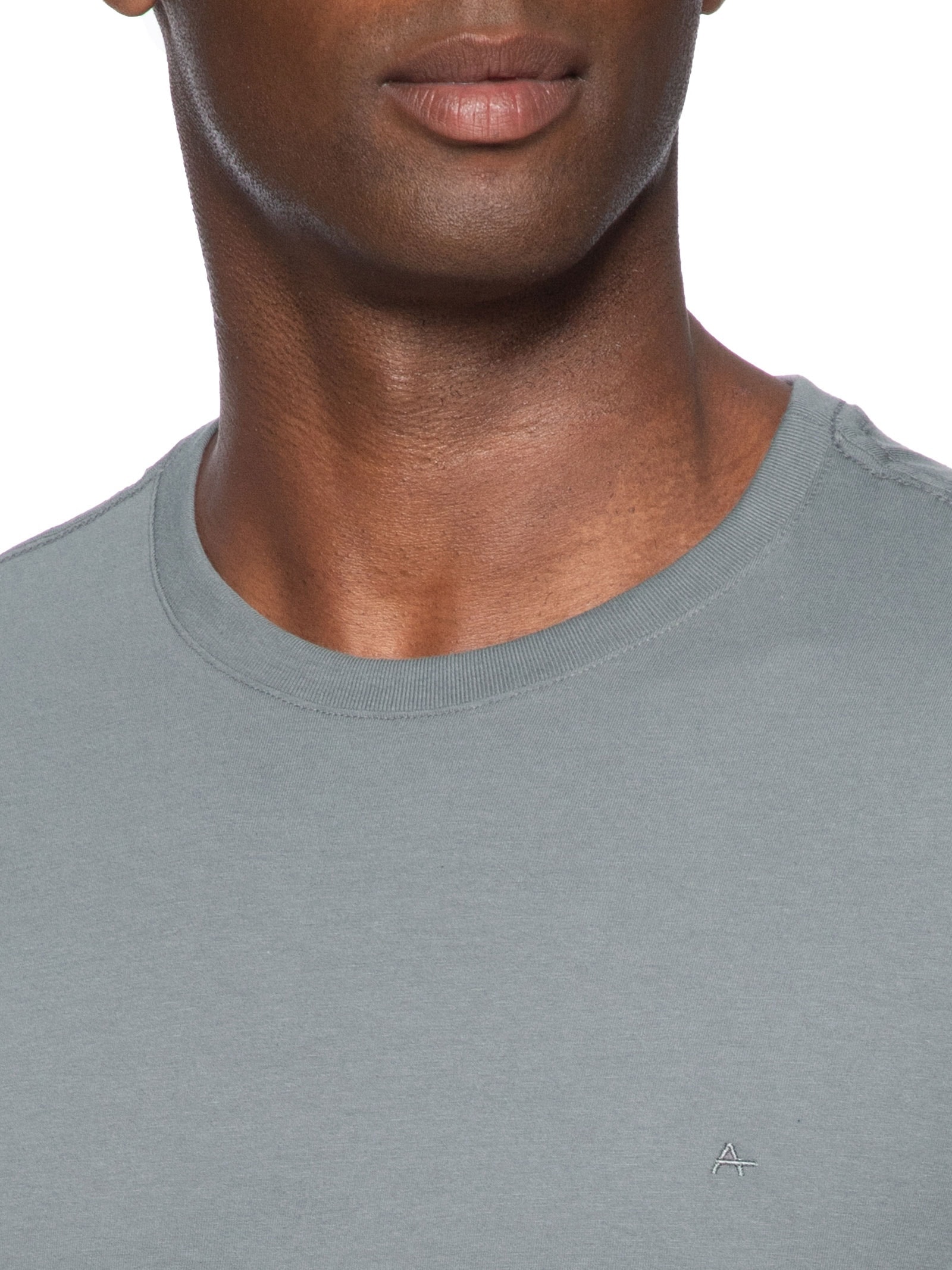 Camiseta Masculina Básica Gola Careca Cinza Aramis