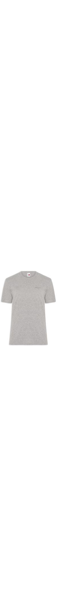 Camiseta Masculina Básica Linear Logo Regular Fit Em Algodão - Cinza