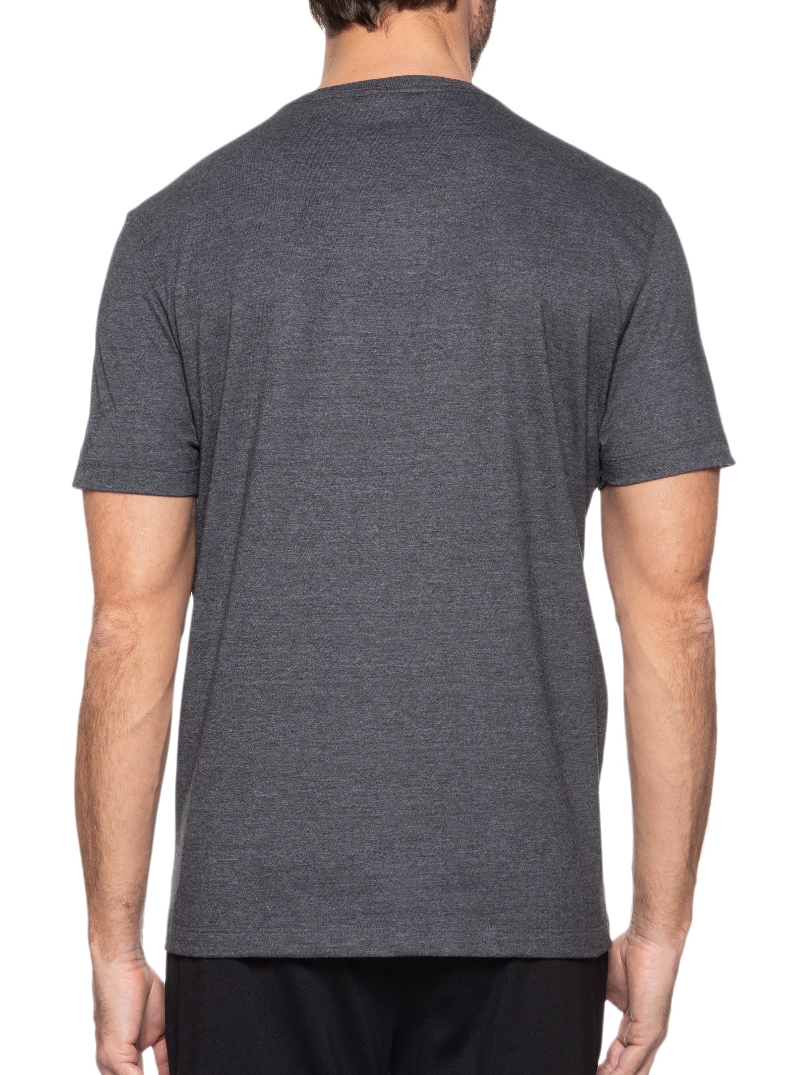 Camiseta Masculina Básica (PA) Cinza Aramis