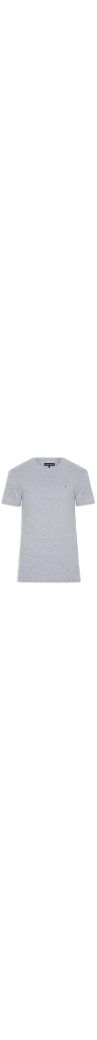 Camiseta Masculina Básica Regular Fit Em Algodão - Cinza