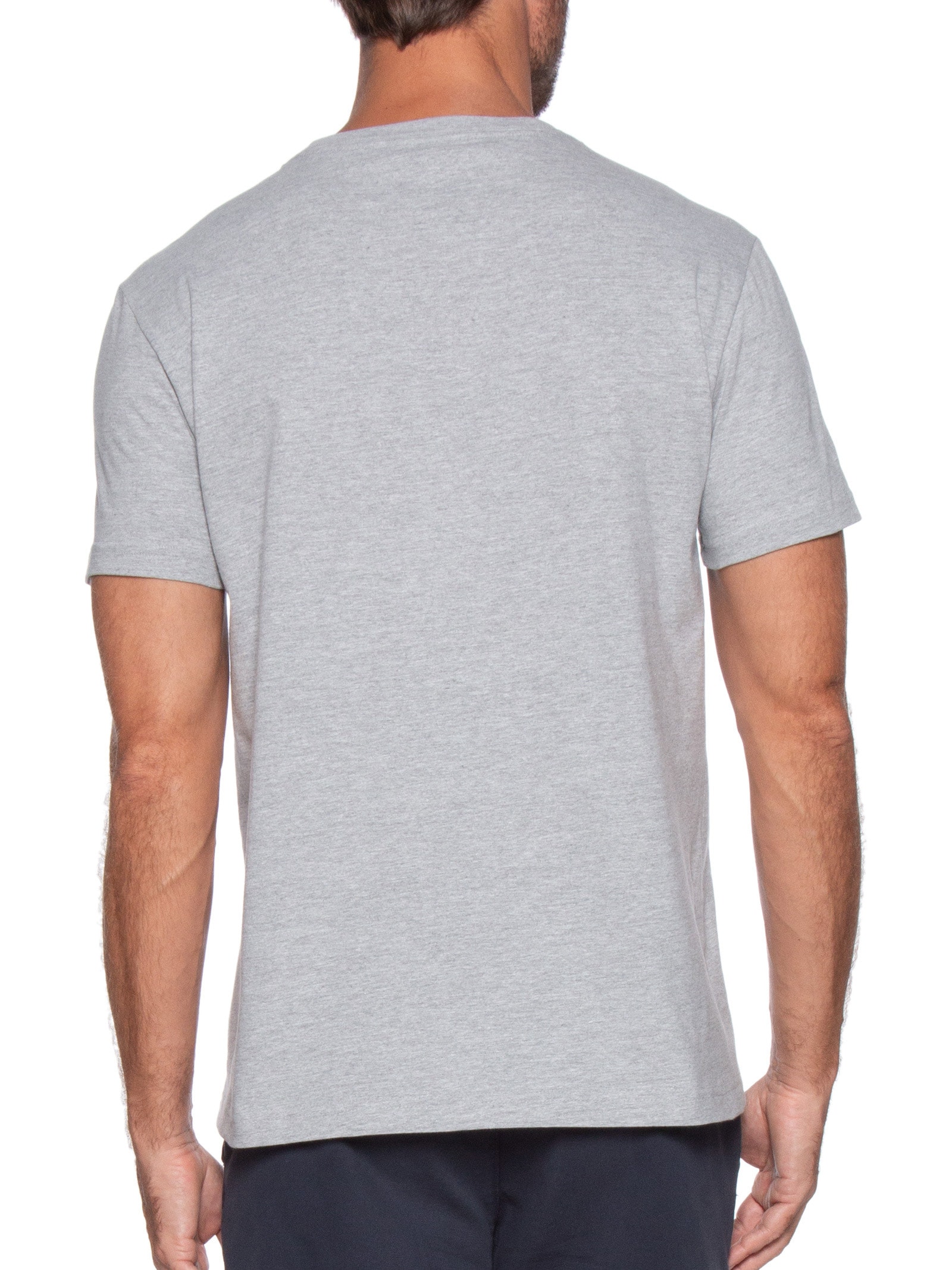 Camiseta Masculina Básica Regular Fit Em Algodão Cinza Tommy Hilfiger