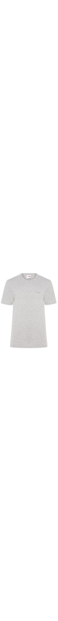 Camiseta Masculina Básica Regular Fit Linear Chest Em Algodão - Cinza