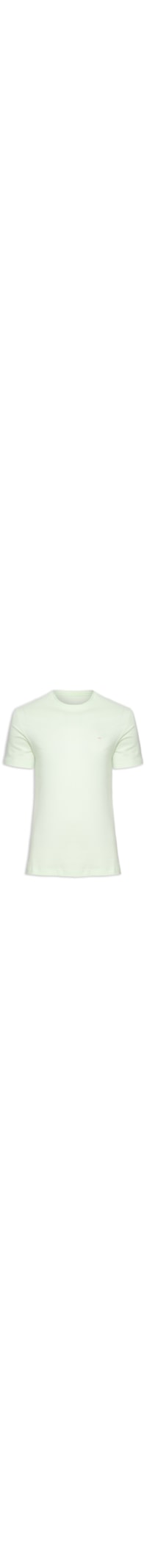 Camiseta Masculina Básica - Verde