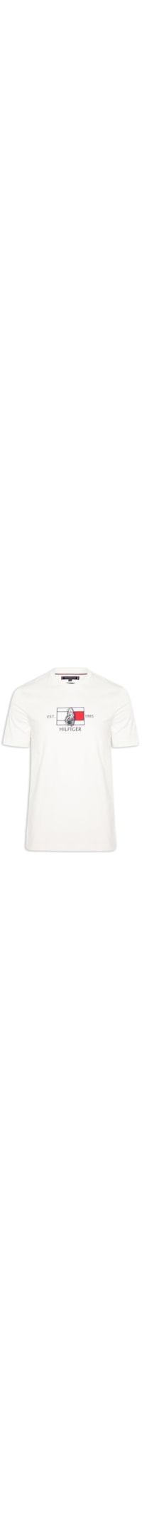 Camiseta Masculina Bordado Flag Sailing Regular Fit Em Algodão - Branco