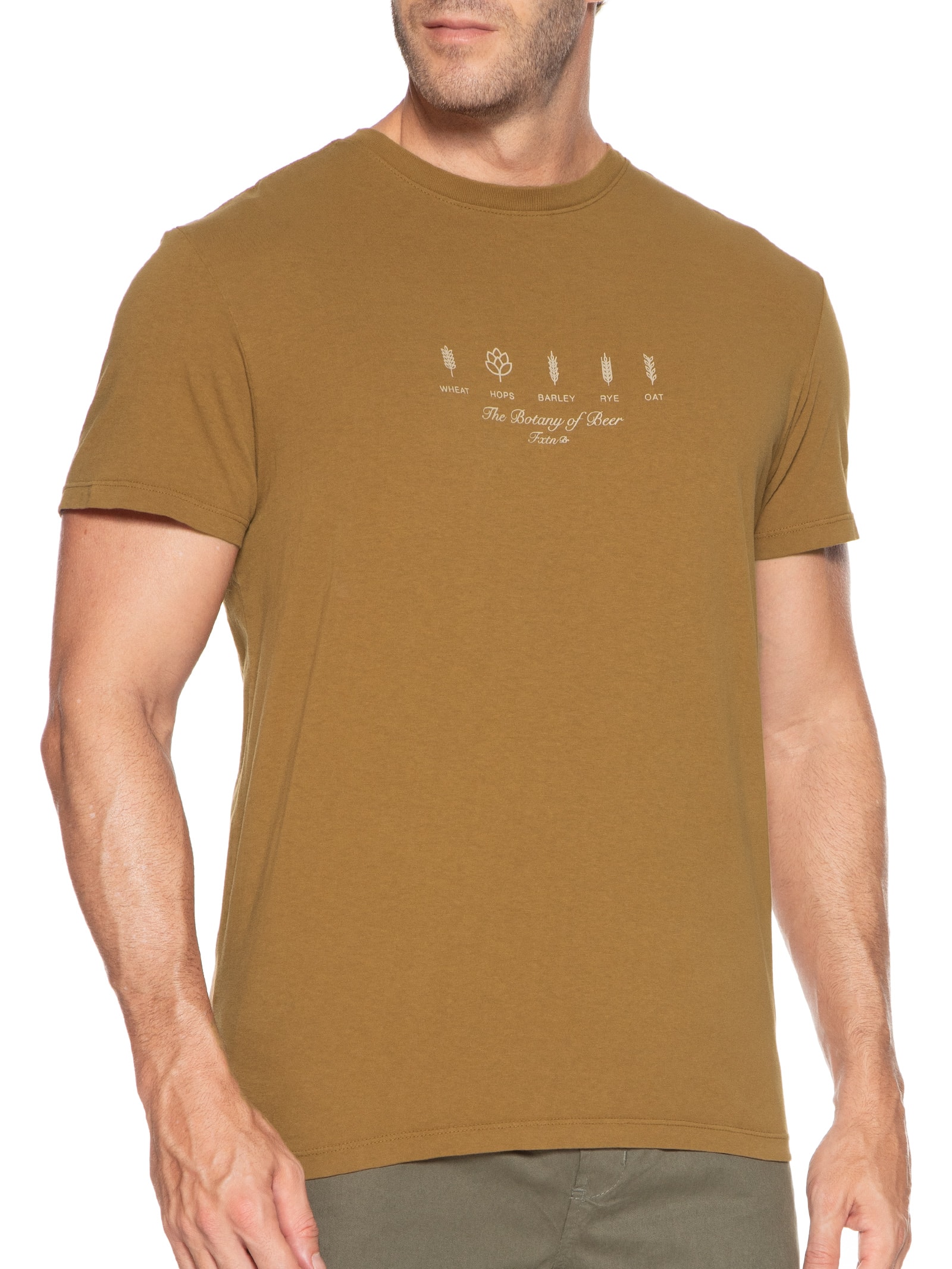 Camiseta Masculina Botany Of Beer Marrom Foxton