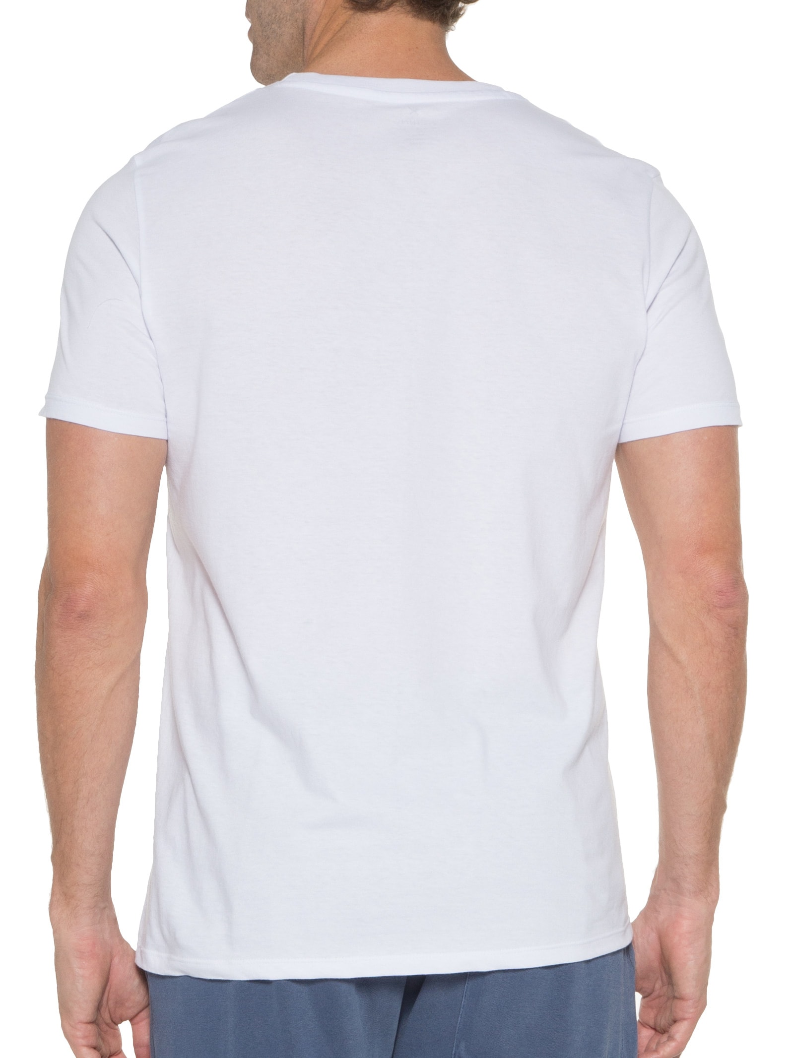 Camiseta Masculina Branco Hering