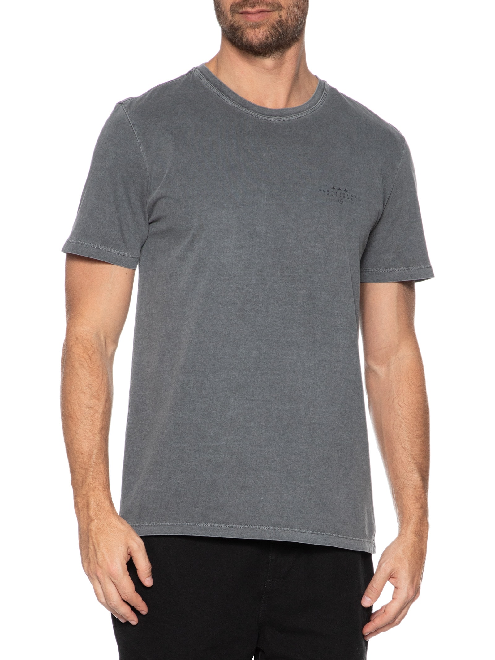 Camiseta Masculina Carry Cinza Austral